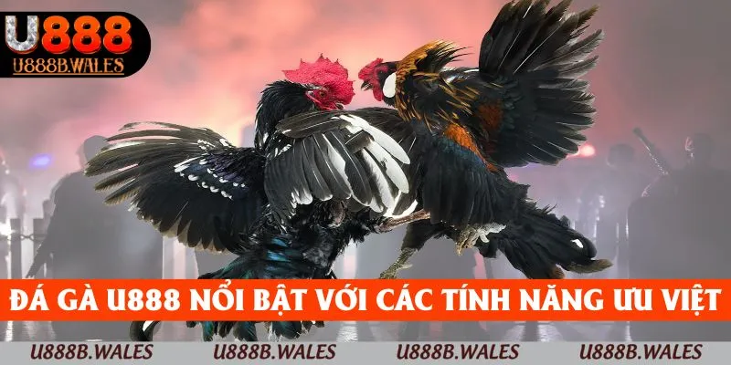Đá Gà U888 – Sống Động Với Những Trận Chiến Kịch Tính 2 Đá gà U888 nổi bật với nhiều tính năng ưu việt