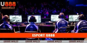 Esport U888