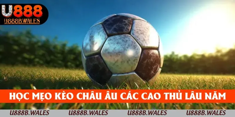Kèo Châu Âu U888 – Soi Kèo Dễ Dàng Cho Tân Binh 5 Học hỏi mẹo soi kèo châu Âu của các cao thủ lâu năm