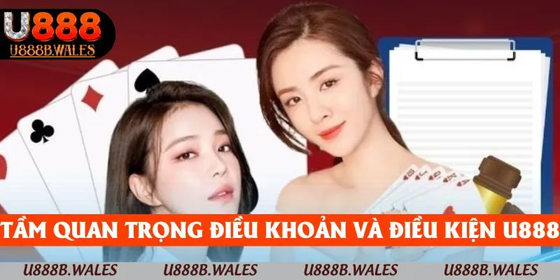 Tầm quan trọng to lớn của điều khoản và điều kiện U888