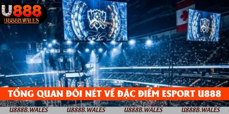 Tổng quan đôi nét về đặc điểm của Esport U888