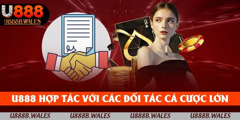Thể Thao U888 - Mở Rộng Cánh Cửa Với Các Kèo Cược Hấp Dẫn 2 U888 hợp tác với các đối tác cá cược nổi tiếng